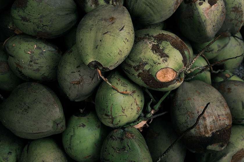 Huile de noix de coco fractionnée