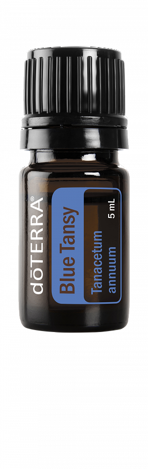 doTERRA ブルータンジー（Blue Tansy）-