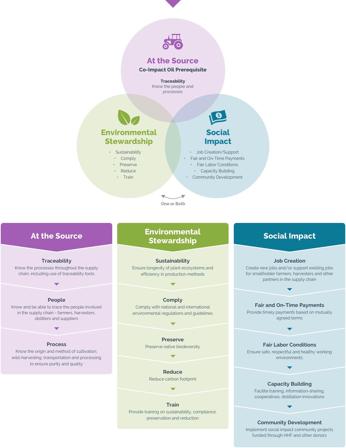 Cō-impact infographic