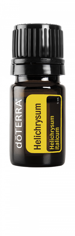 Helichrysum