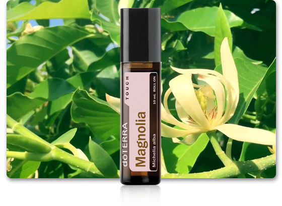  Magnolia Touch Essential Oil - 10 mL : Health & Household