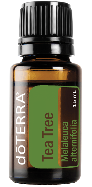 Tea Tree