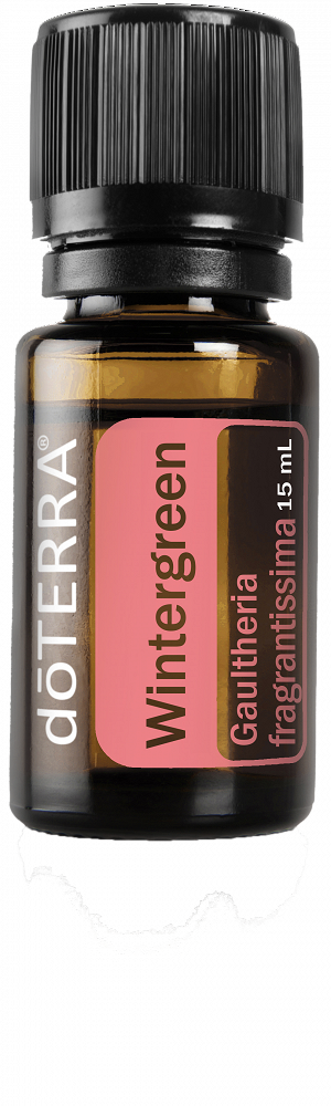 Wintergreen (Gaultéria)