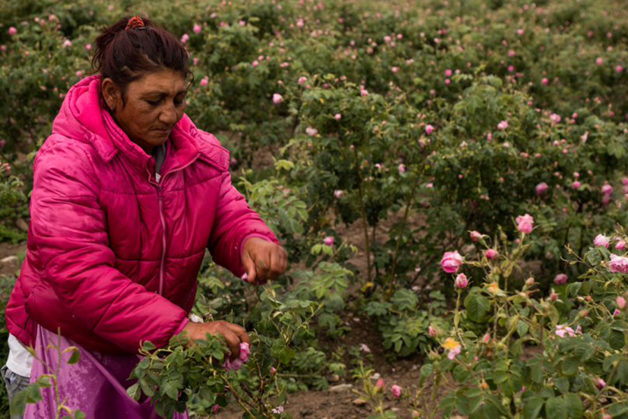 Co-Impact Sourcing - Rose Woman-and-roses